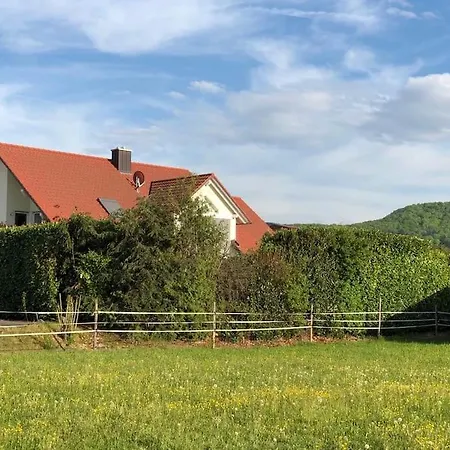Ferien - Umgeben Von Obstplantagen Waldkirch