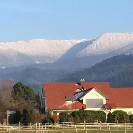 Ferien - Umgeben Von Obstplantagen Lejlighed Waldkirch