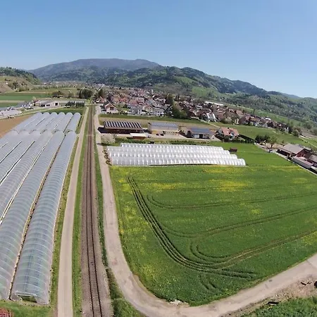 Lejlighed Ferien - Umgeben Von Obstplantagen